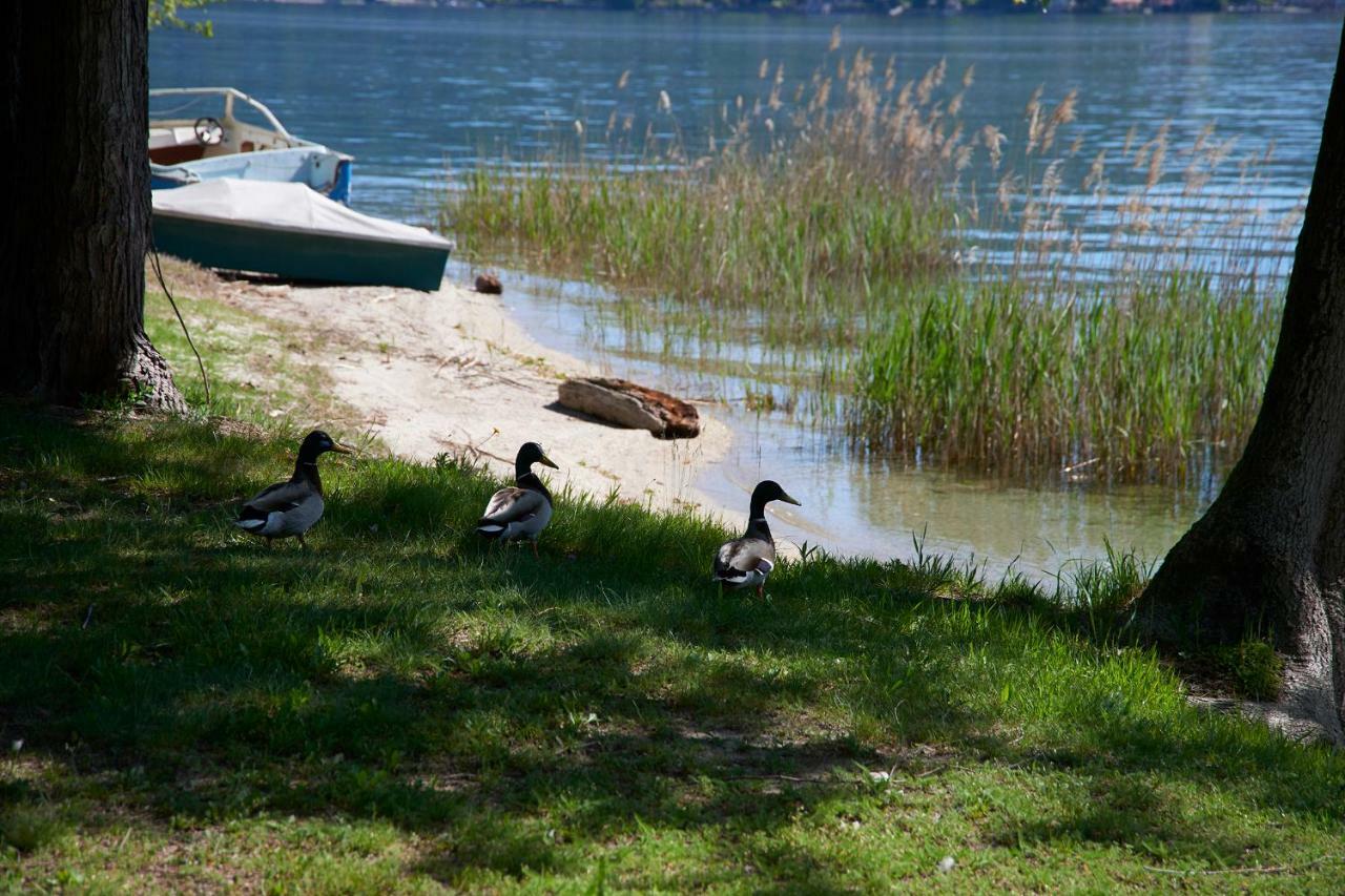 Emy Lake Orta بيلا المظهر الخارجي الصورة